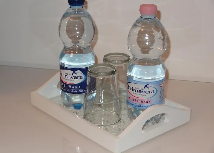 Studio Poz Apartament Poznań