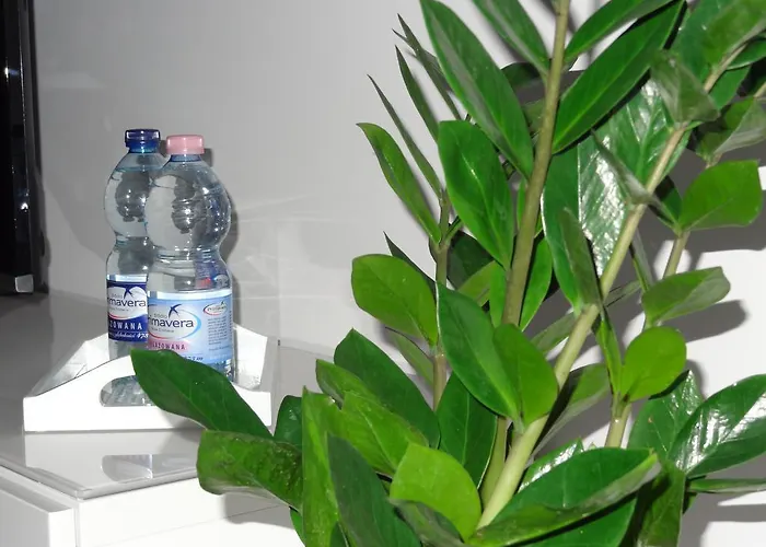 Studio Poz Apartament