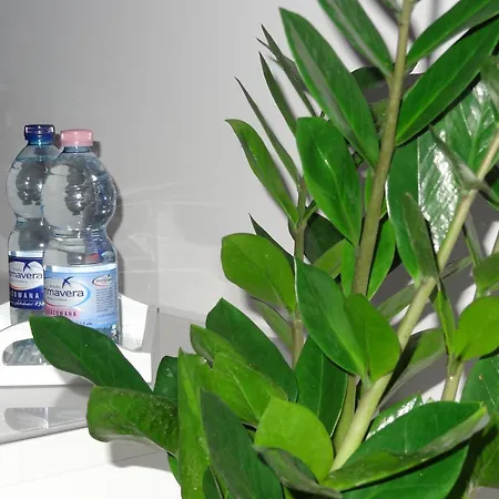 Studio Poz شقة